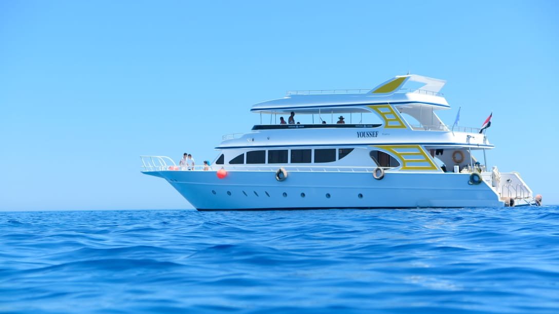 Boat Trips